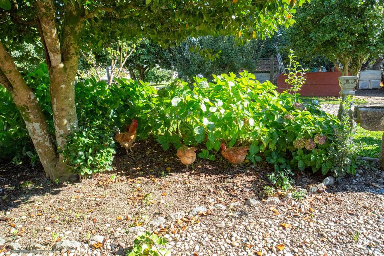 Quinta De Vila Nova - Agroturismo Monção 외부 사진