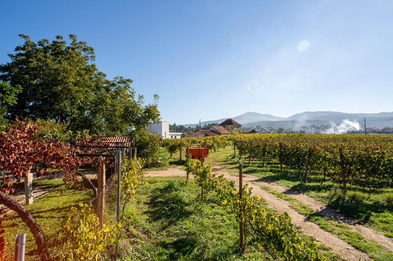 Quinta De Vila Nova - Agroturismo Monção 외부 사진